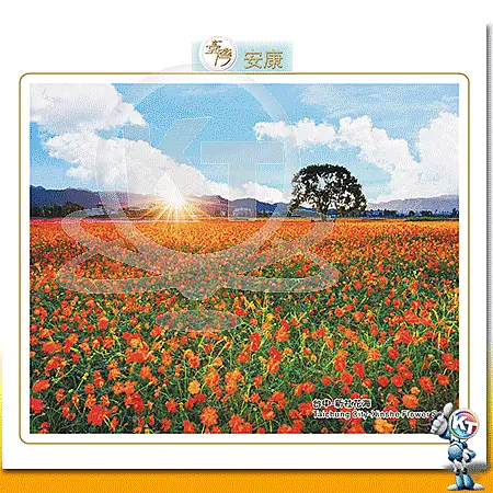 AC-601_6k13月曆-台灣安康(六開13張台製月曆)-0